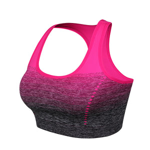 Gradient High Stretch Sports Bra